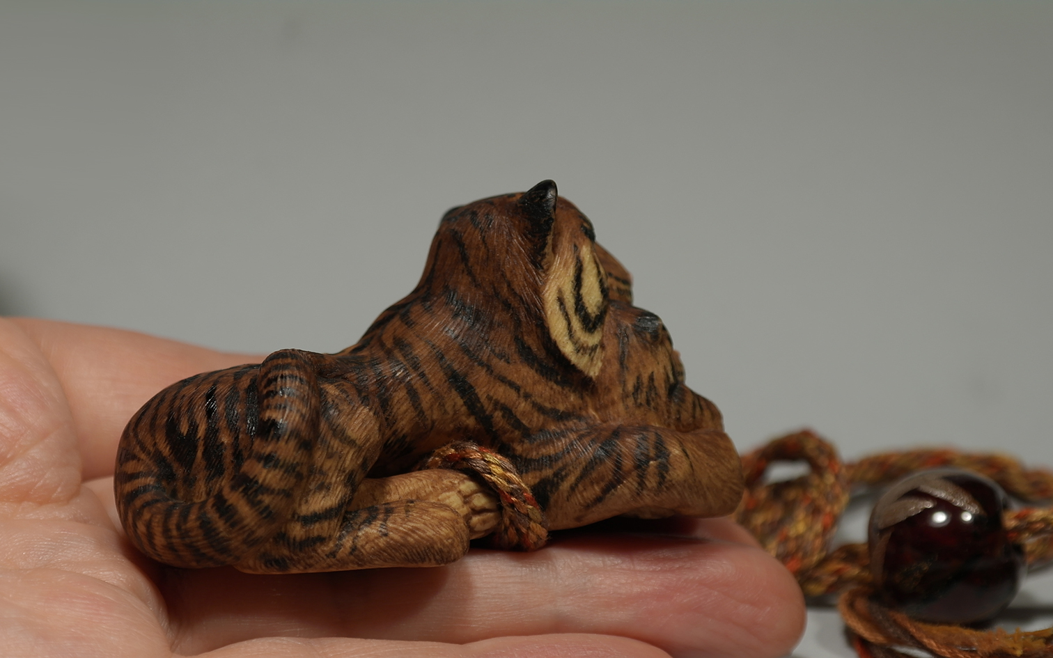 Tigress with a cub 010